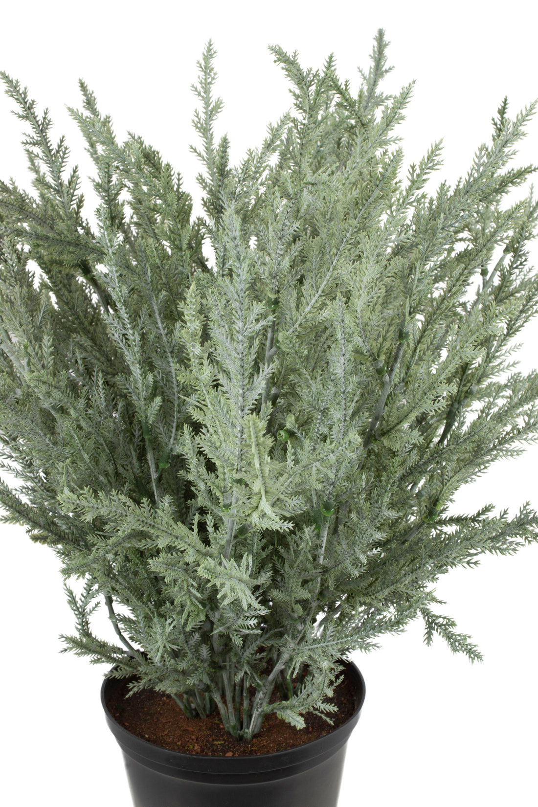 FOLHAGEM PINUS NO POTE PLÁSTICO 40CM Cod: A6602-PT