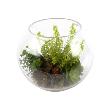 SUCULENTAS EM VIDRO 22CM Cod: A6611