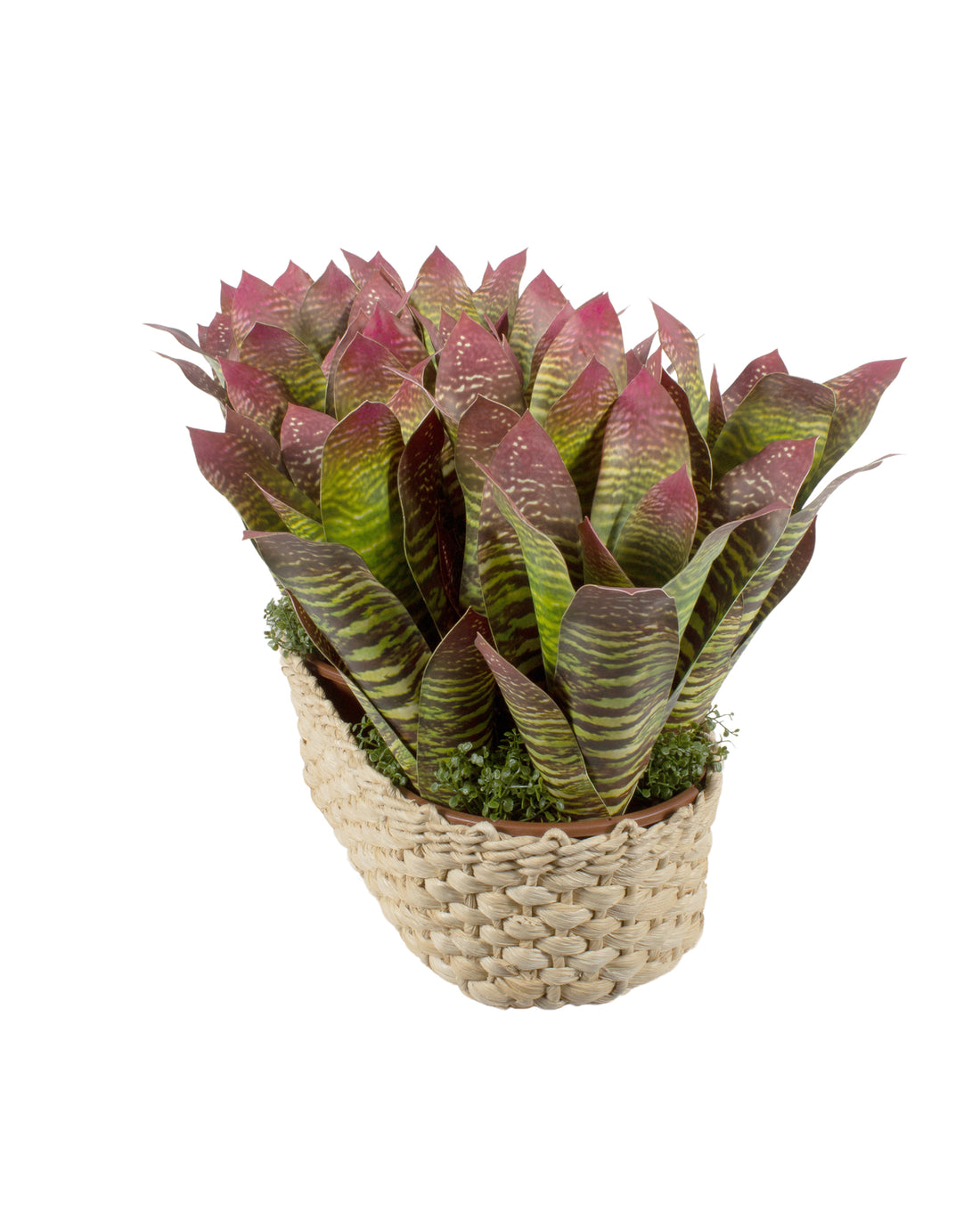 BROMELIAS EM CESTO OVAL VD/VM, 30cm Cod: A6687