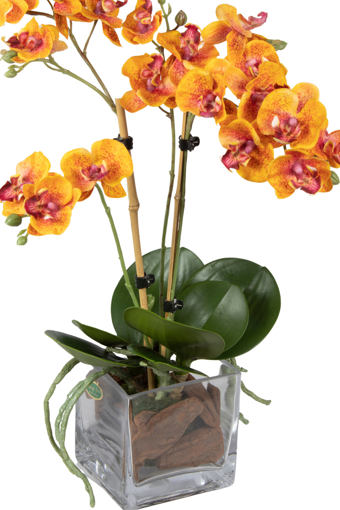 ORQ. PHALAENOPSIS MINI EM VIDRO, 42CM GOLD Cod: A6689-AL