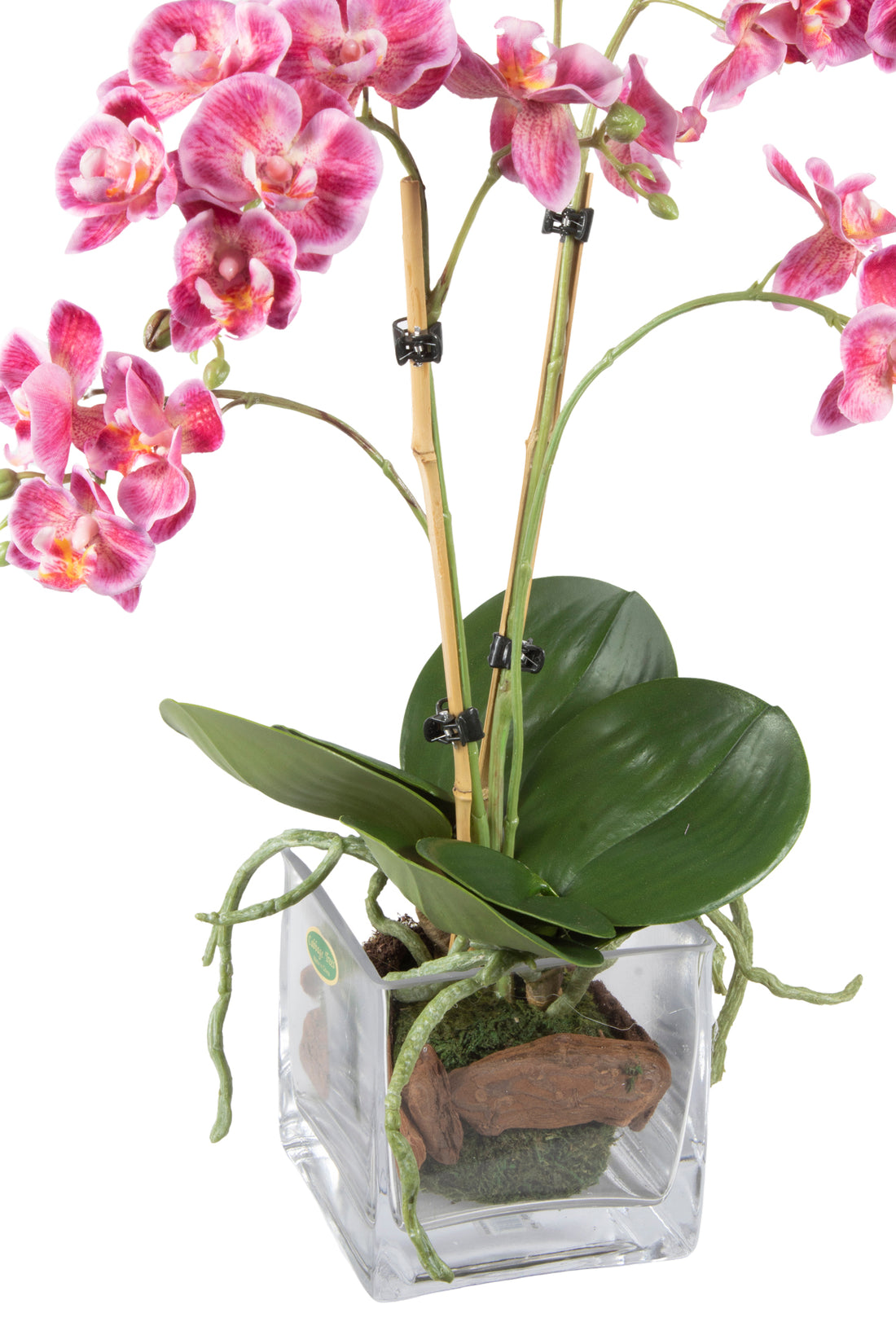 ORQ. PHALAENOPSIS MINI EM VIDRO 42CM FUCSIA Cod: A6689-FU