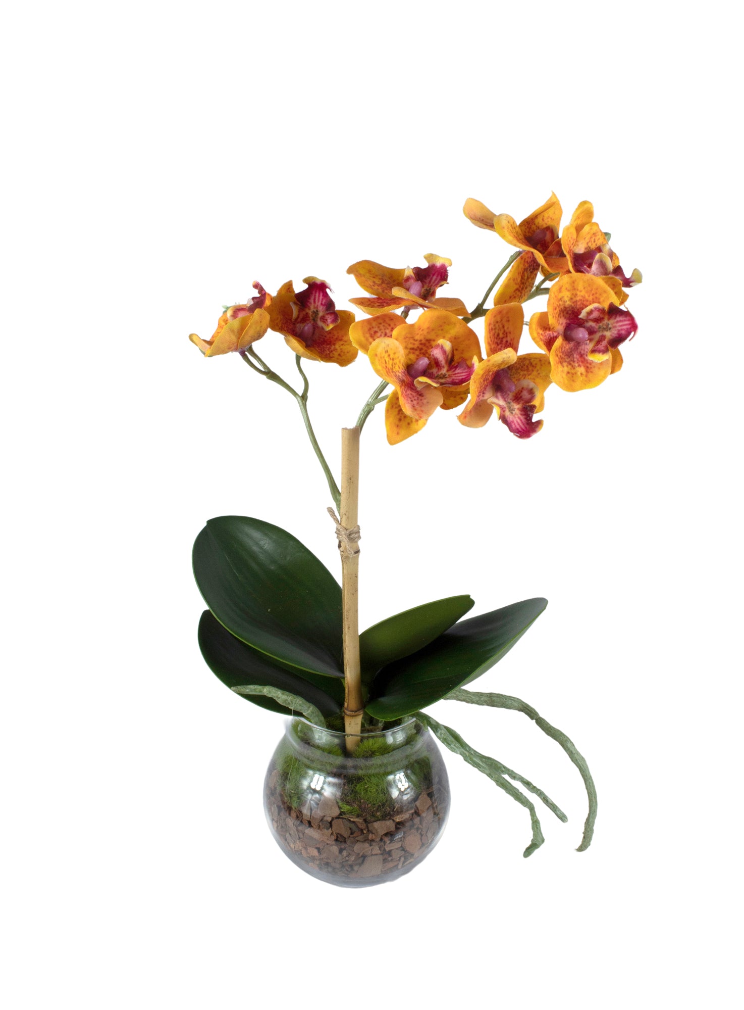 ORQ. PHALAENOPSIS MINI EM VIDRO 30CM, GOLD Cod: A6690-AL