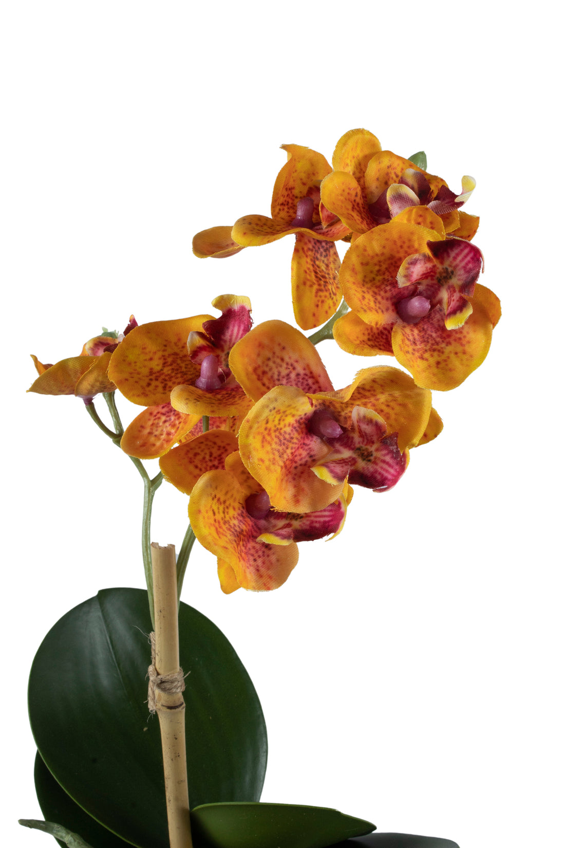 ORQ. PHALAENOPSIS MINI EM VIDRO 30CM, GOLD Cod: A6690-AL