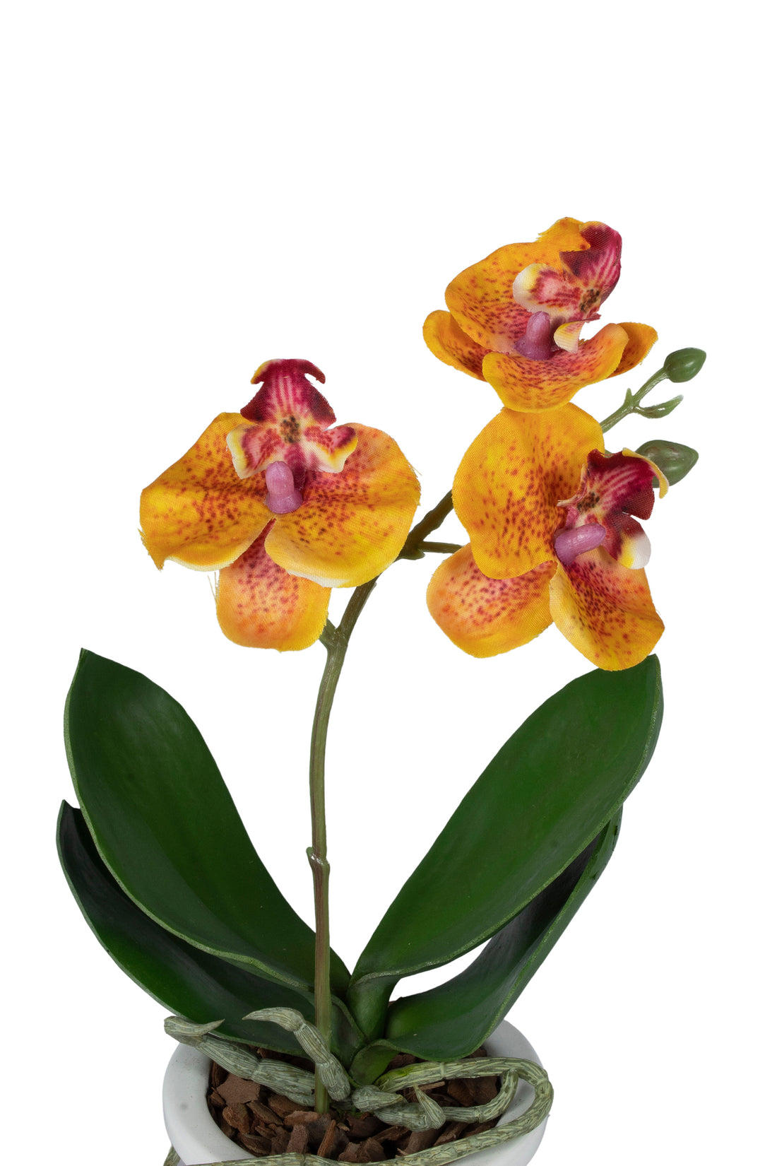 ORQ. PHALAENOPSIS MINI EM CER, 25CM, GOLD Cod: A6691-AL