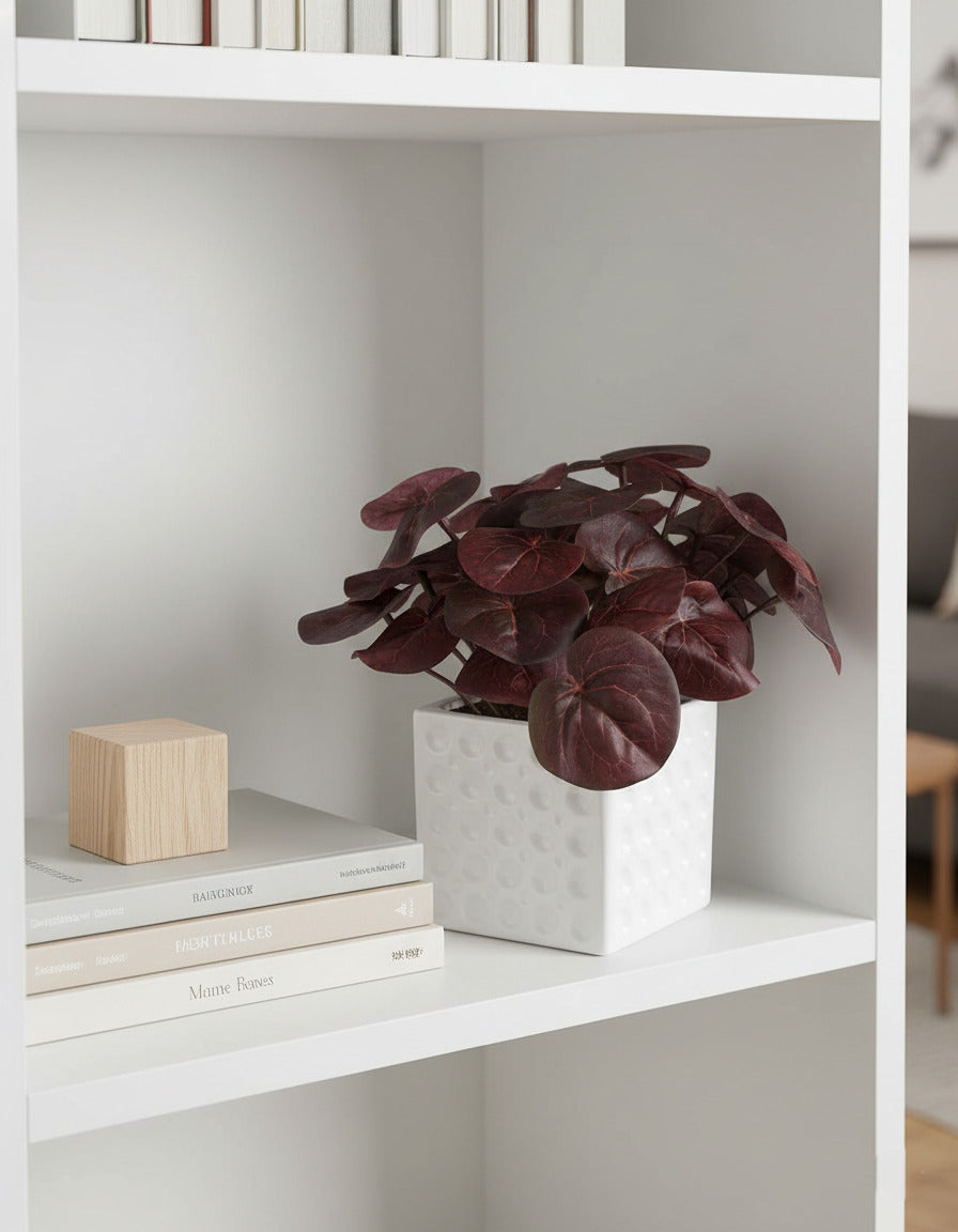 PEPEROMIA CAPERATA BORDO EM CER 20CM Cod: A6694