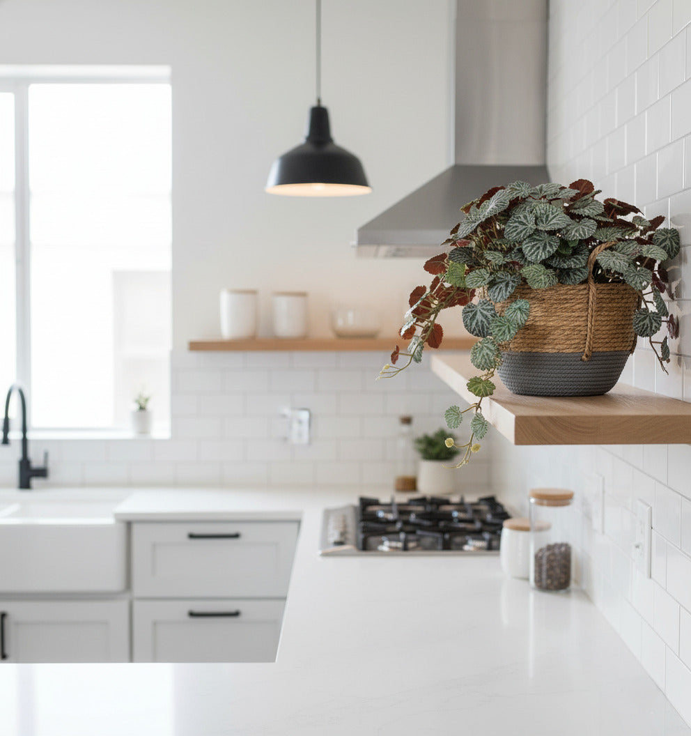 SAXIFRAGA PENDENTE EM VPP 60CM Cod: A6748