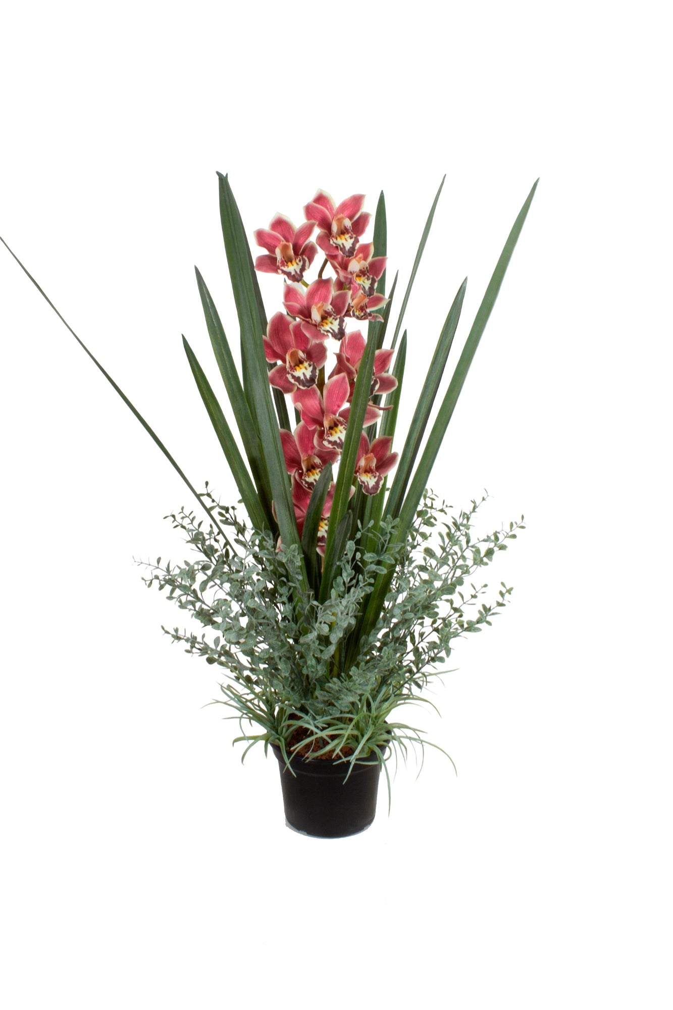 ORQ. CYMBIDIUM VM EM POTE 100CM Cod: A6834