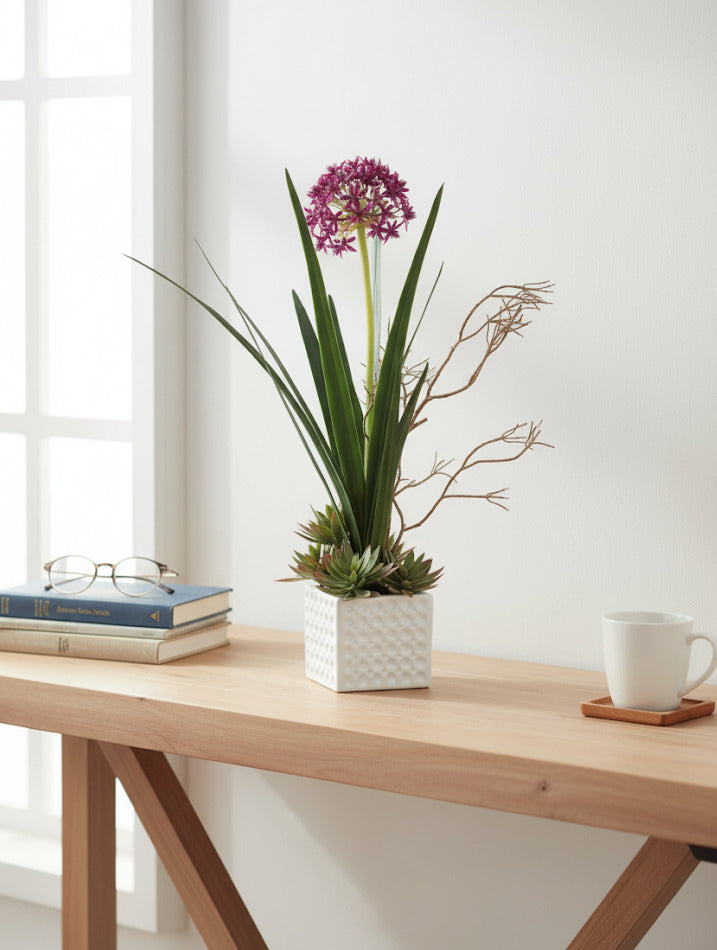 ALLIUM FUCSIA E SUCULENTAS CER BCA 60CM Cod: A6858