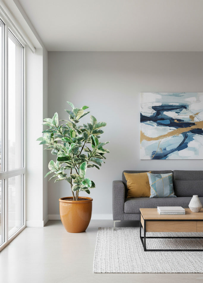 FICUS ELASTICA VARIEGATA ÁRVORE 160CM Cod: A6883