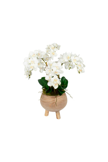 ORQ. PHALAENOPSIS BR EM CACHEPOT MADEIRA TRIPÉ, 52CM Cod: A6884BR