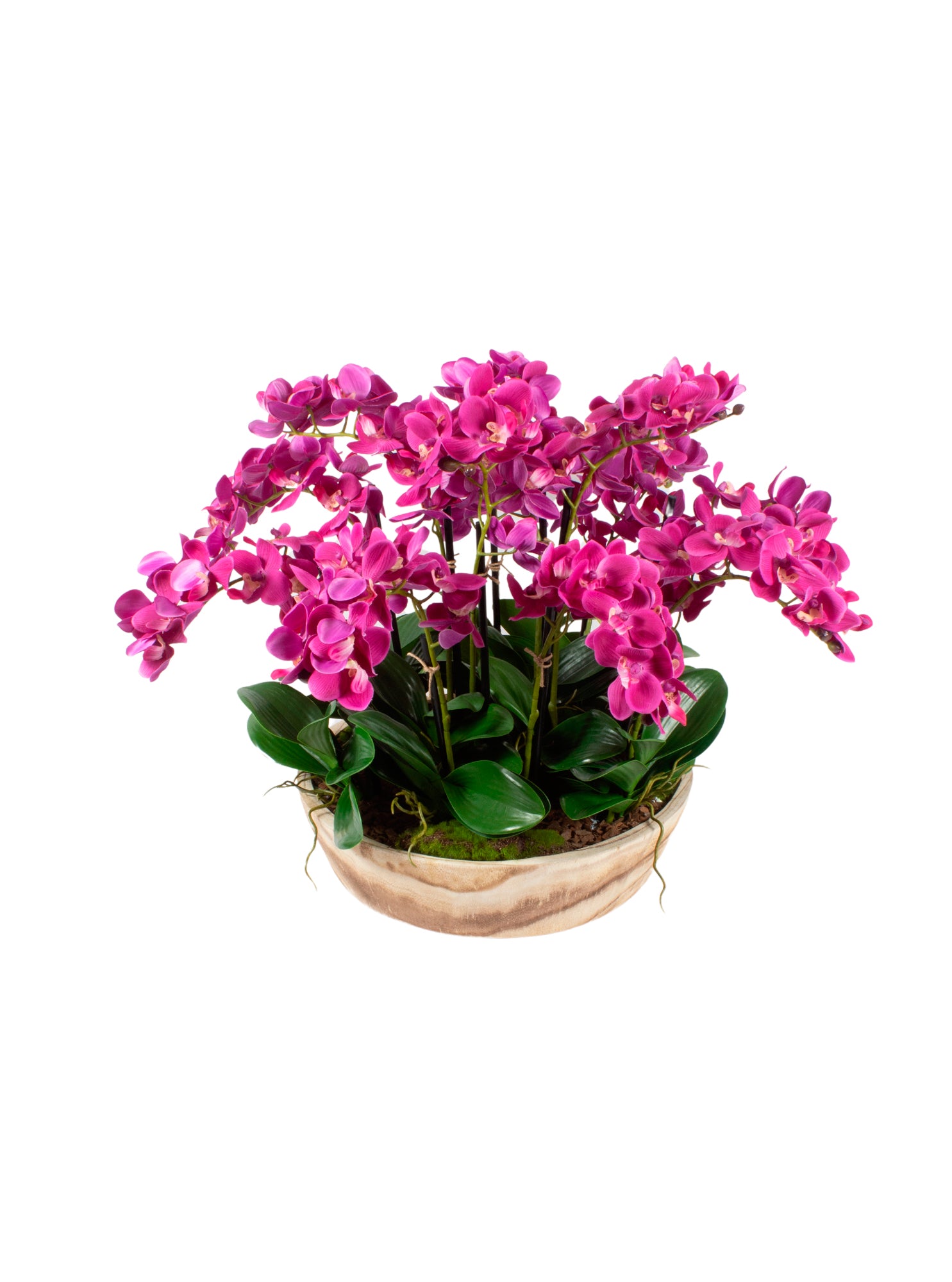 ORQ. PHALAENOPSIS FU EM BOWL MADEIRA CLARA, 43CM Cod: A6885FU