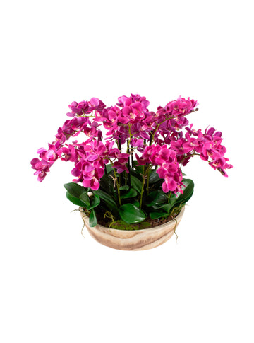 ORQ. PHALAENOPSIS FU EM BOWL MADEIRA CLARA, 43CM Cod: A6885FU