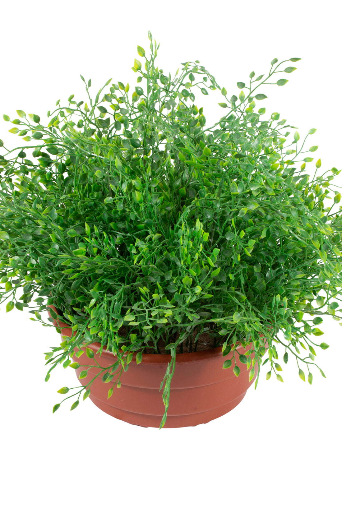 AVENCAS NO POTE VPP, 35CM Cod: A6904VPP
