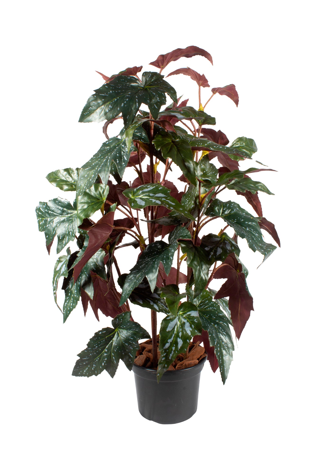 BEGONIAS EM VPP 85CM Cod: A6908