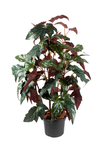 BEGONIAS EM VPP 85CM Cod: A6908