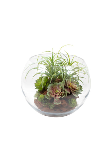 TILLANDSIAS EM VIDRO GD 26CM Cod: A6922