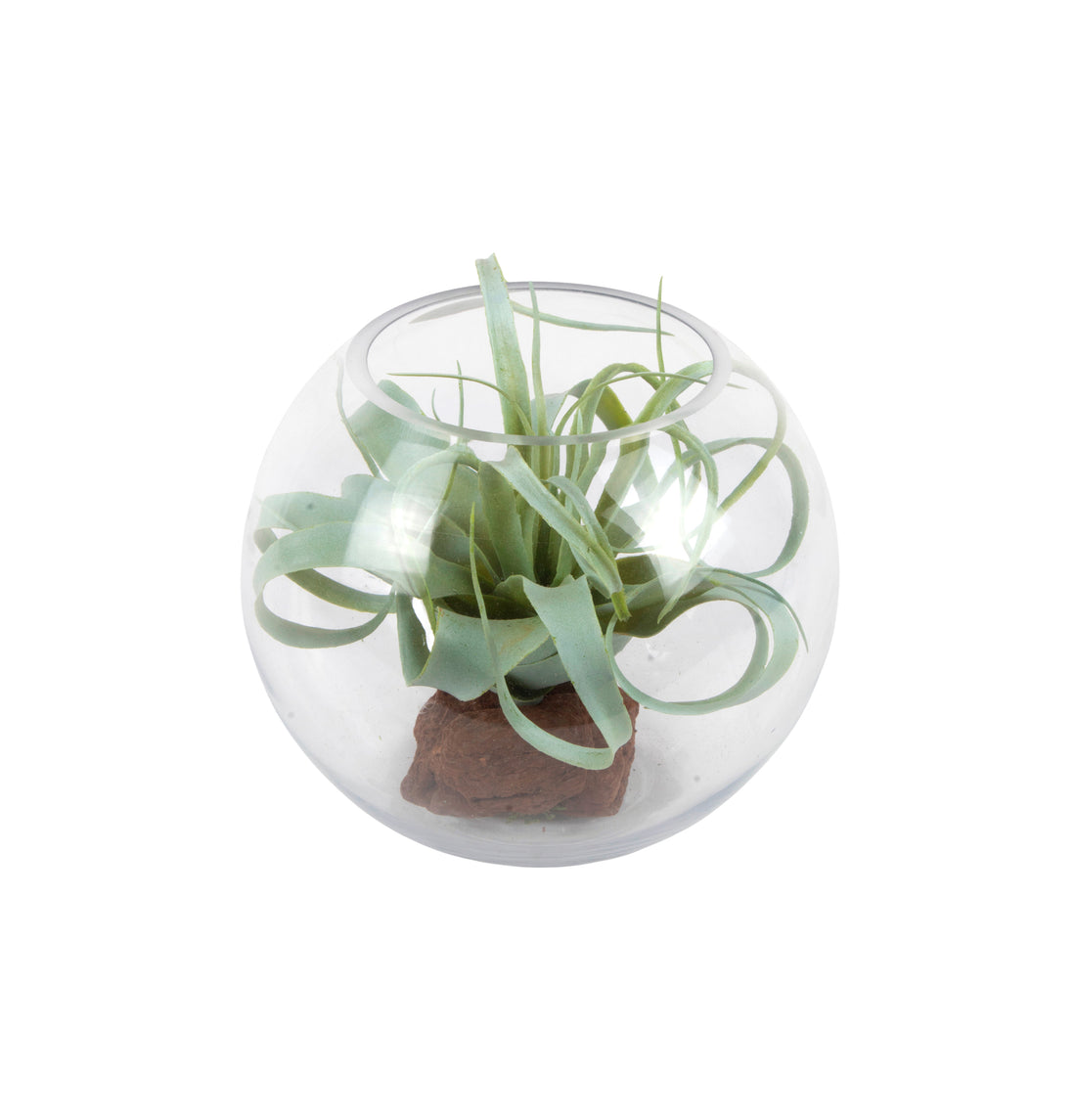 TILLANDSIA EM VIDRO PQ, 17CM Cod: A6924