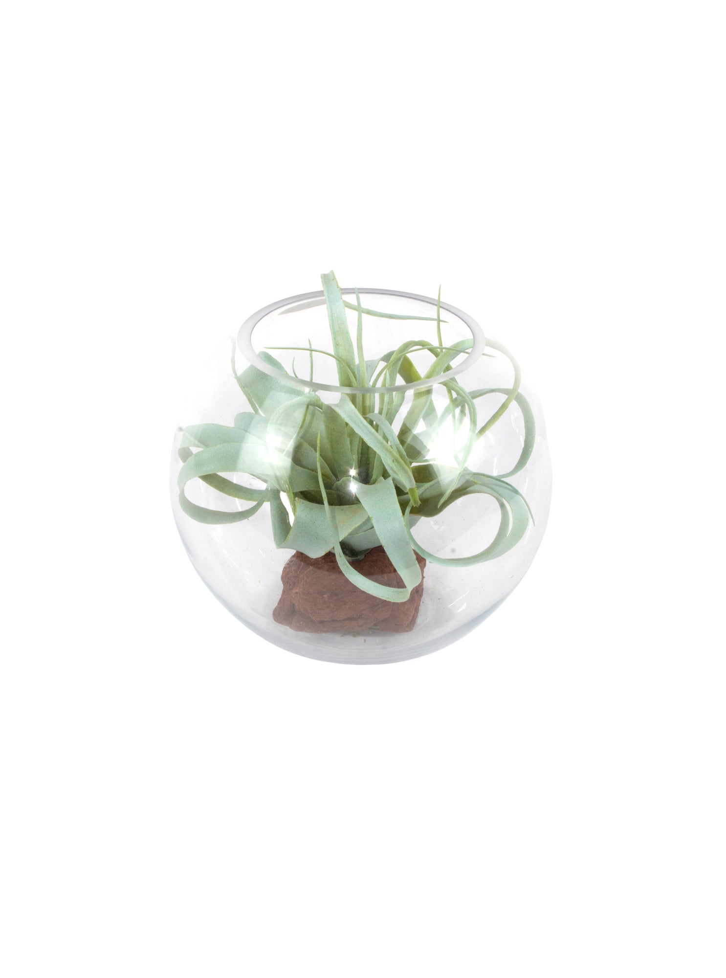 TILLANDSIA EM VIDRO PQ 17CM Cod: A6924