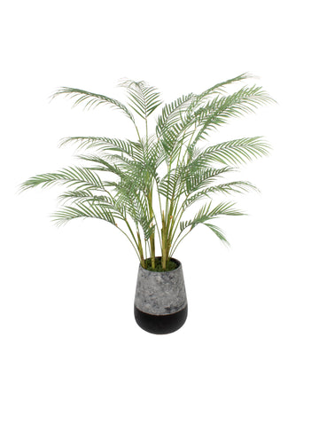 PALMEIRINHAS EM EM CACHEPOT CERAMICA , 120CM Cod: A6942