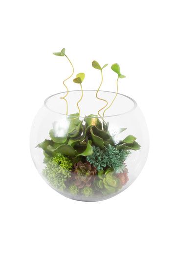 SUCULENTAS EM VIDRO AQUÁRIO 38CM Cod: A6943