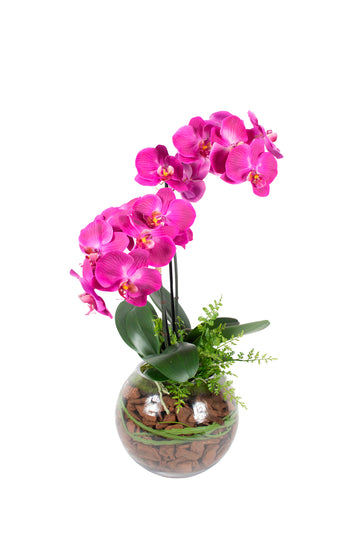 ORQ. PHALAENOPSIS FU EM VIDRO 73CM Cod: A6944