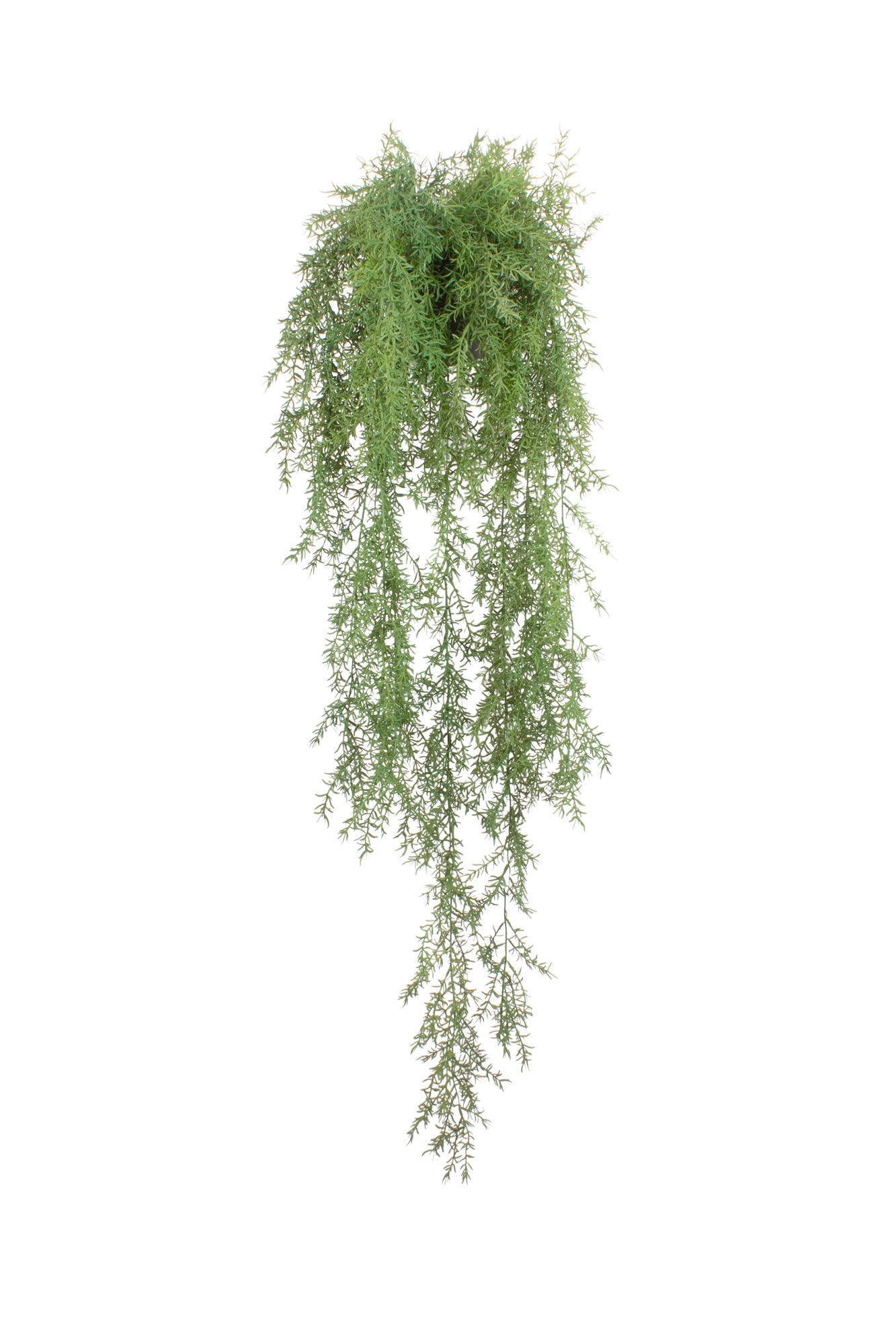 ASPARGO PENDENTE EM 1/2 VASO  DE PAREDE 130CM Cod: A6960