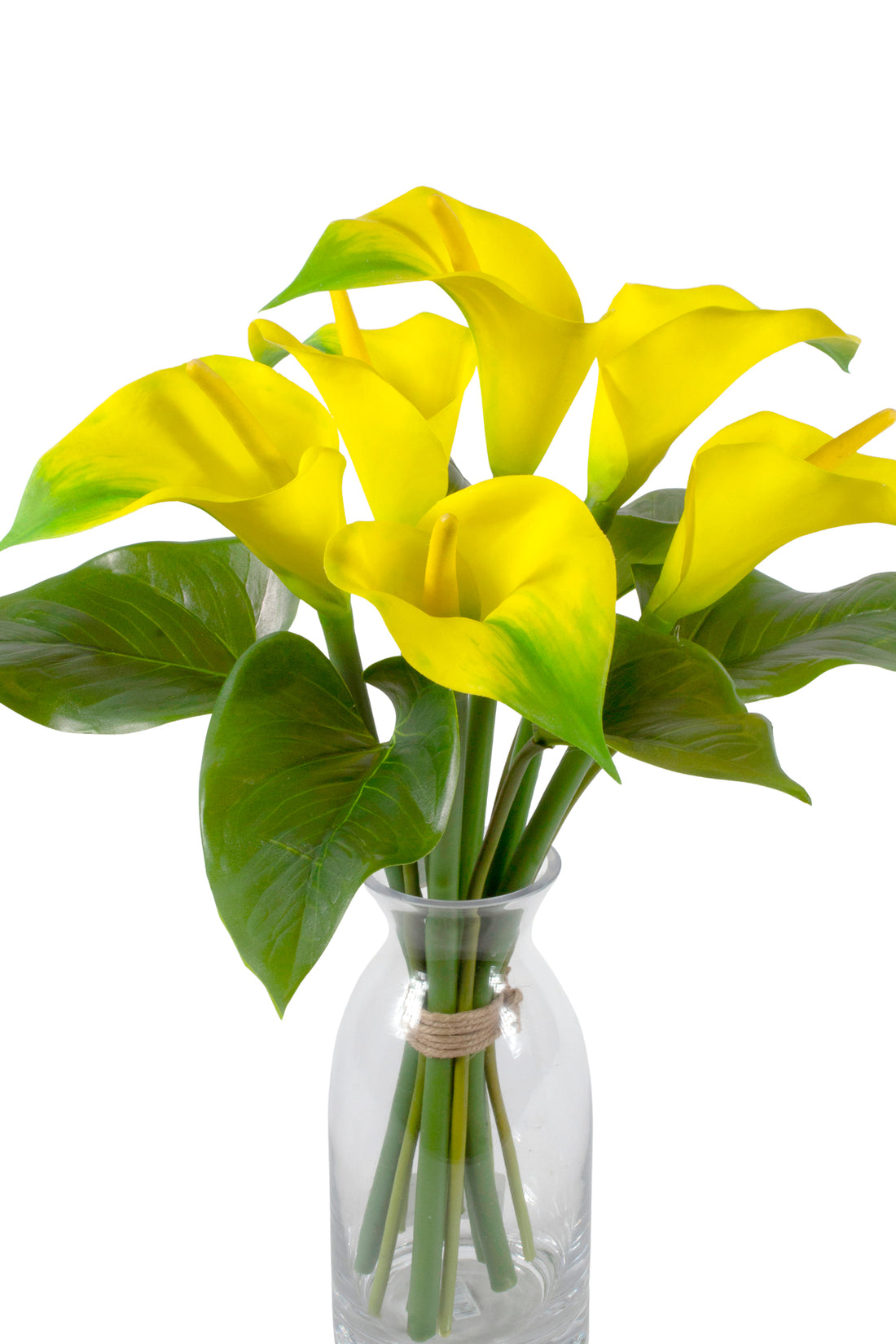 COPOS DE LEITE AM EM VIDRO, 48CM Cod: A6971