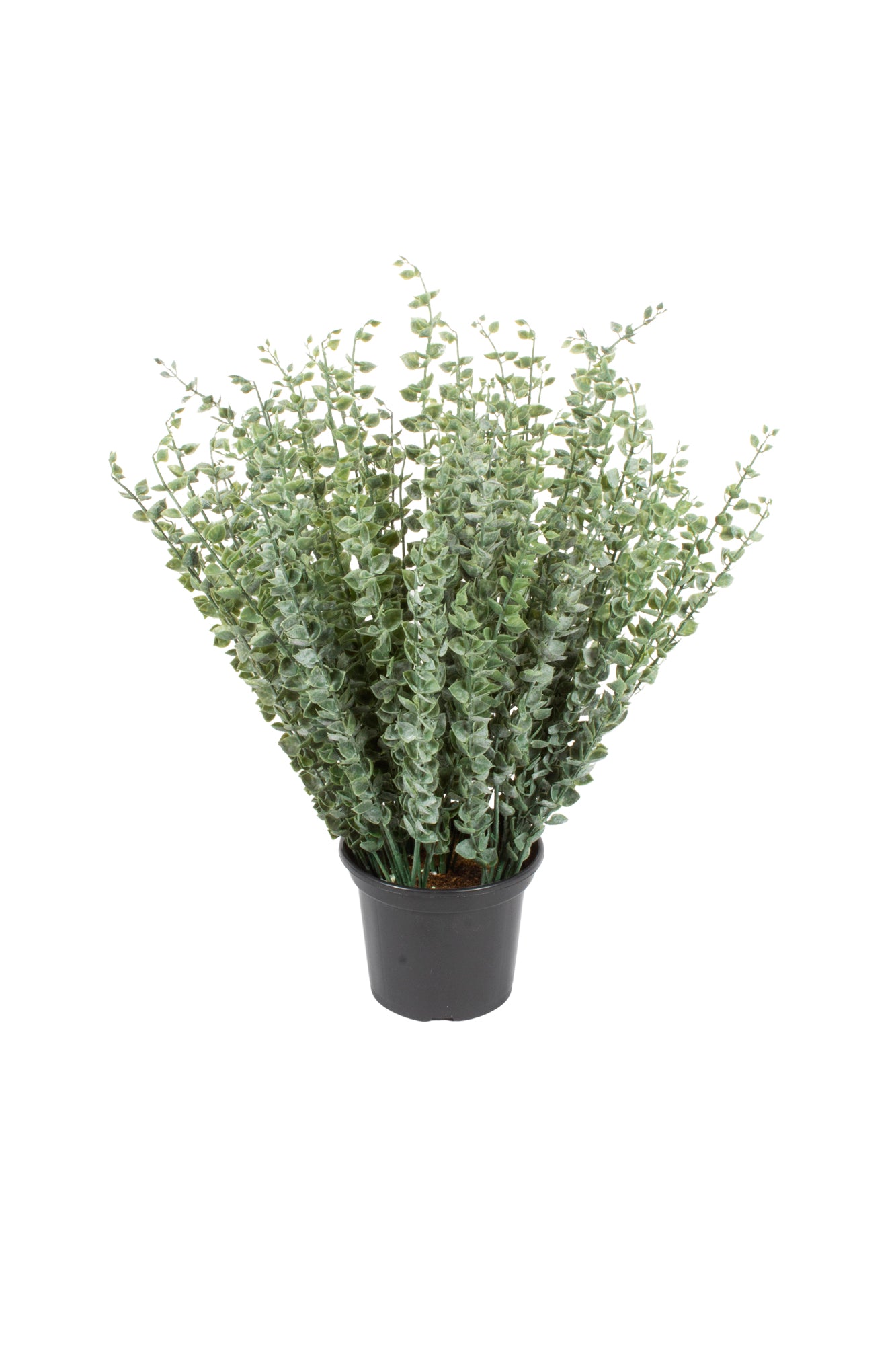 BUQUE EUCALIPTO EM VPP 50CM Cod: A6982