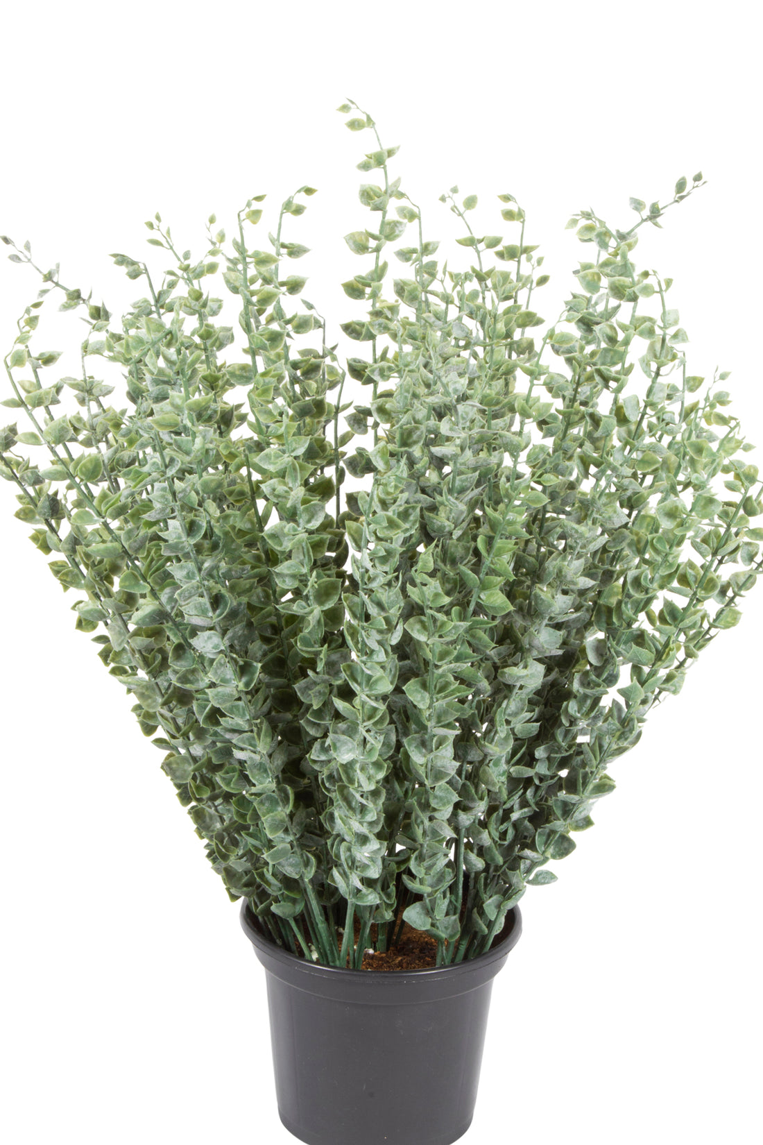 BUQUE EUCALIPTO EM VPP 50CM Cod: A6982