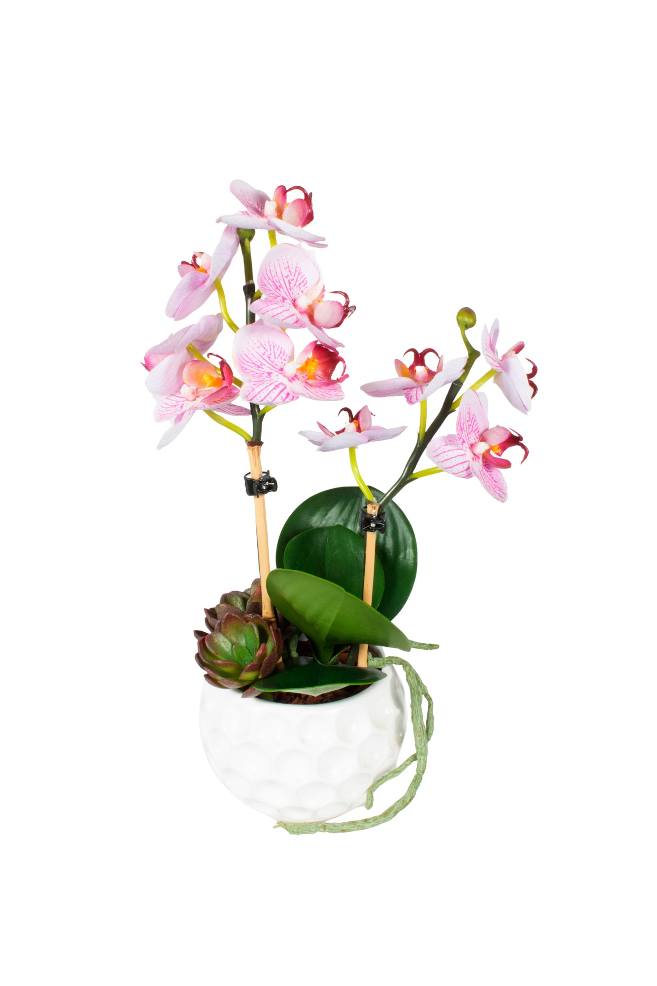 ORQ. PHALAENOPSIS MINI RO/ SUC 35CM Cod: A6984