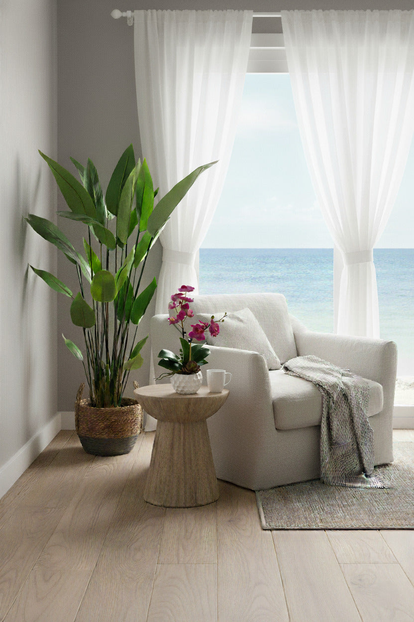 ORQ. PHALAENOPSIS MIMI FU/SUC, 40CM Cod: A6985