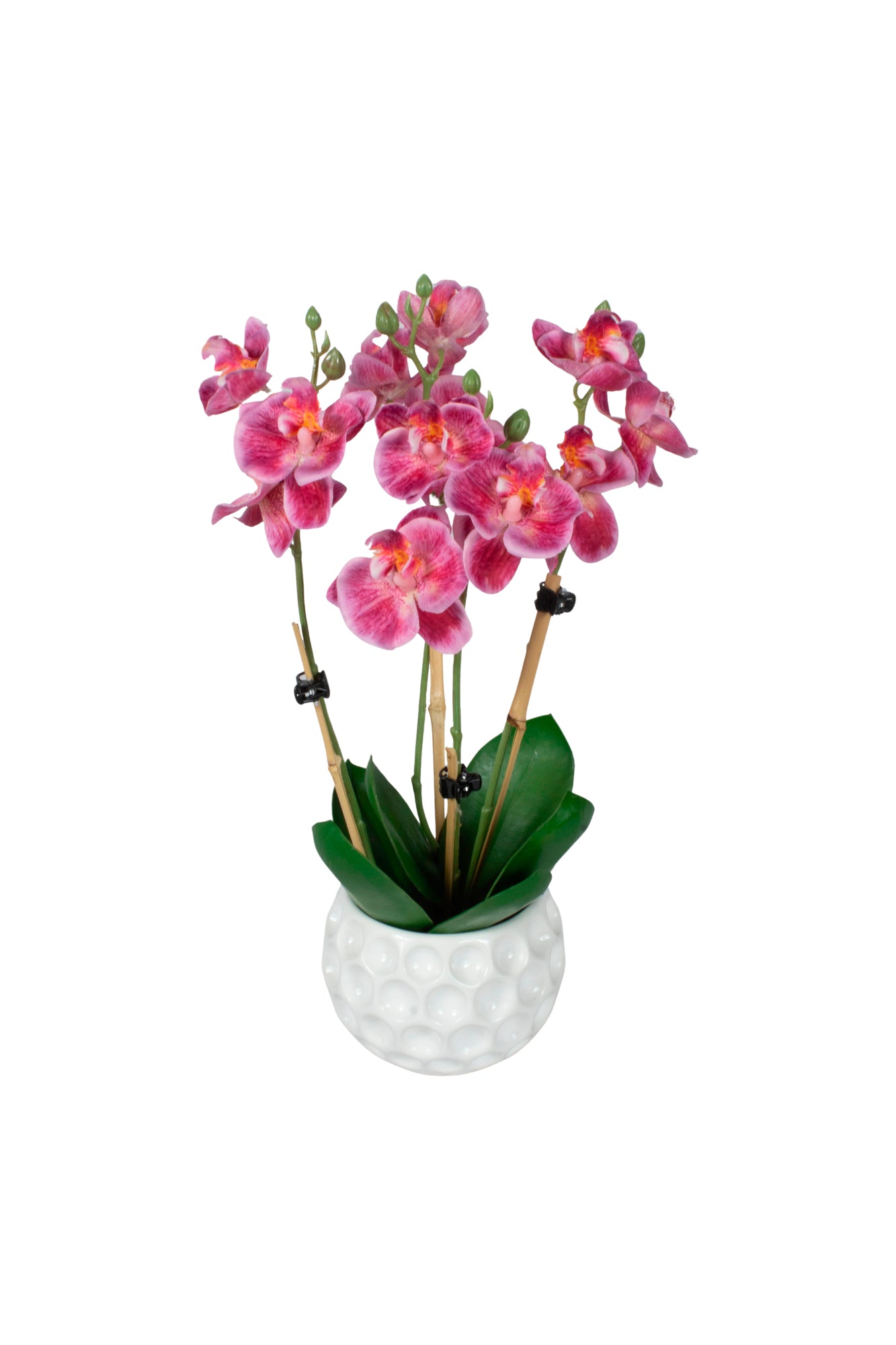 ORQ. PHALAENOPSIS MINI FU EM CER 32CM Cod: A6986