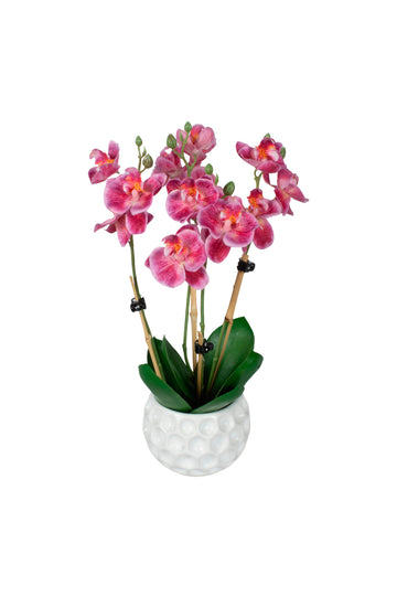 ORQ. PHALAENOPSIS MINI FU EM CER 32CM Cod: A6986