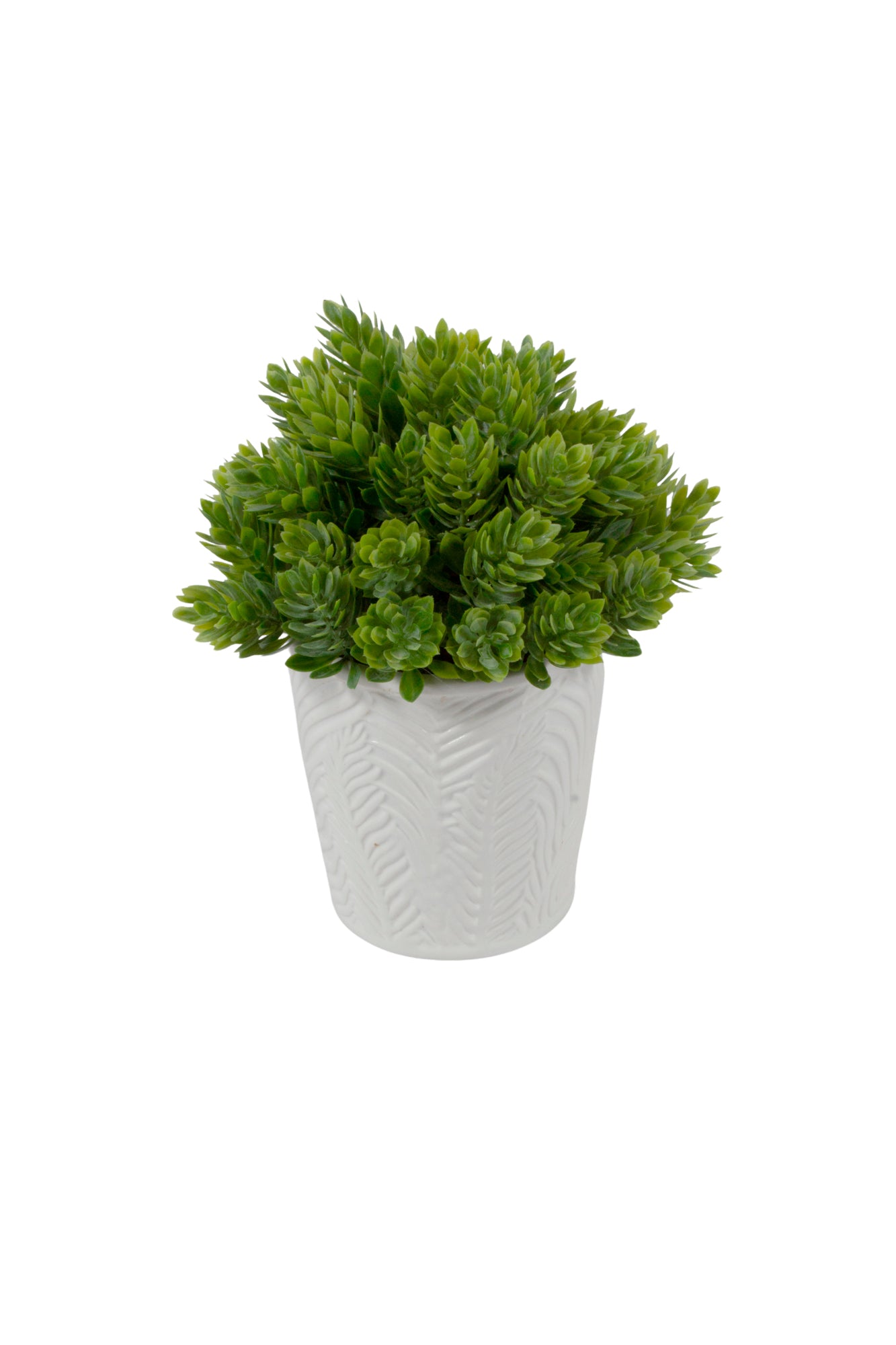 LÚPULOS EM CER BCA,18CM Cod: A6988