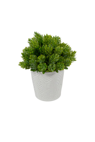 LÚPULOS EM CER BCA,18CM Cod: A6988