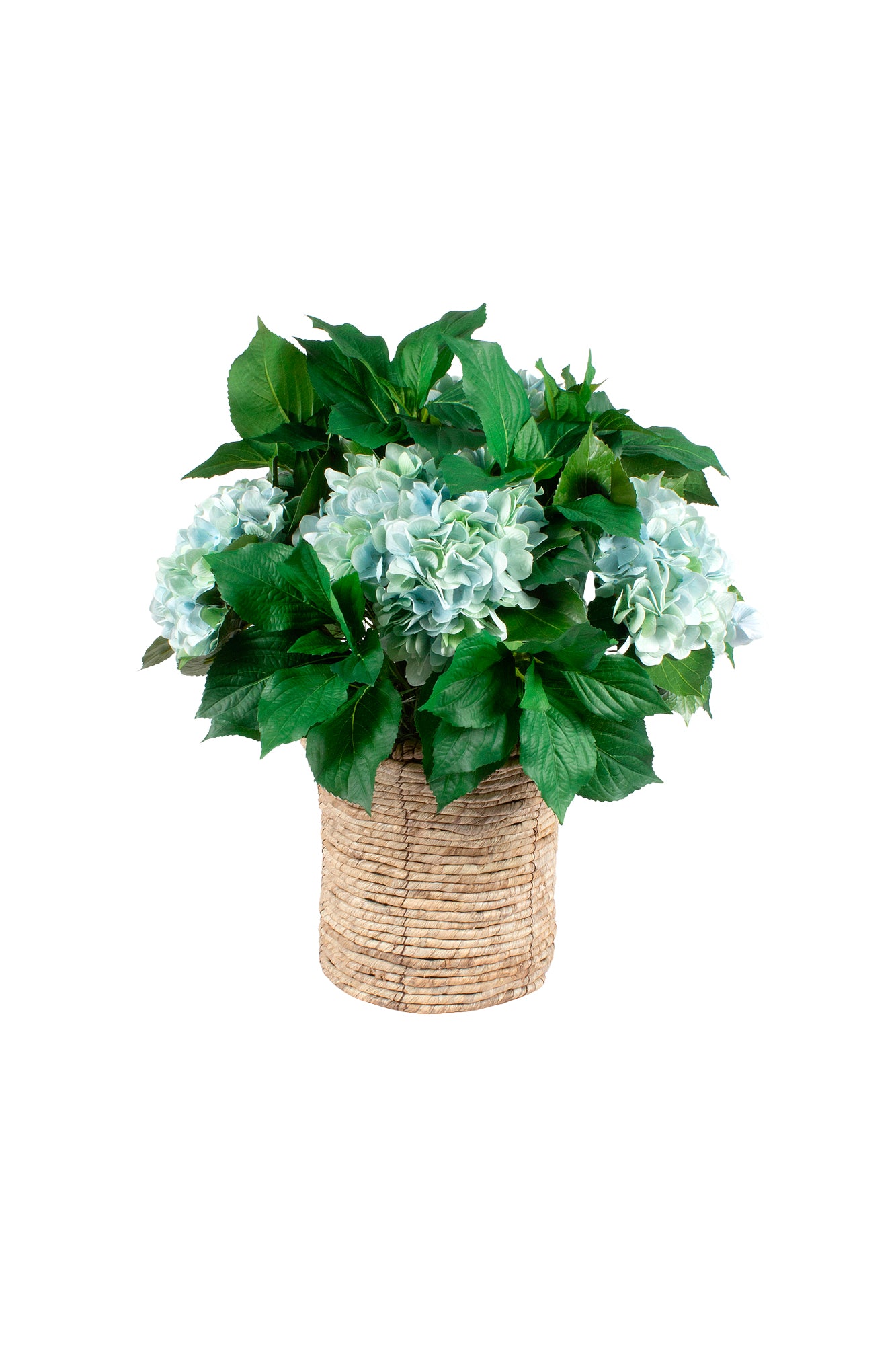 ARBUSTO DE HORTENSIA AZ EM CACHEPOT DE PALHA 75CM Cod: A6989