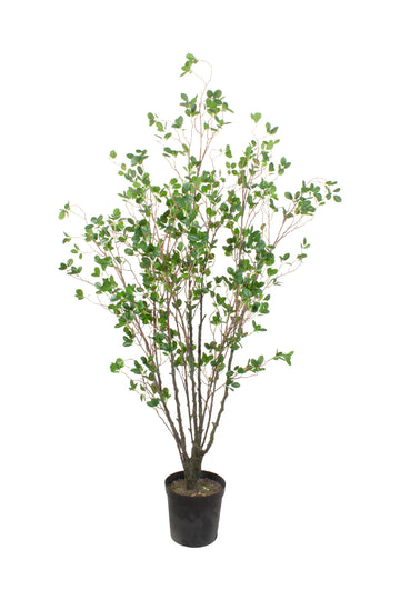 ÁRVORE DE FITOSPORO 150CM Cod: A6995