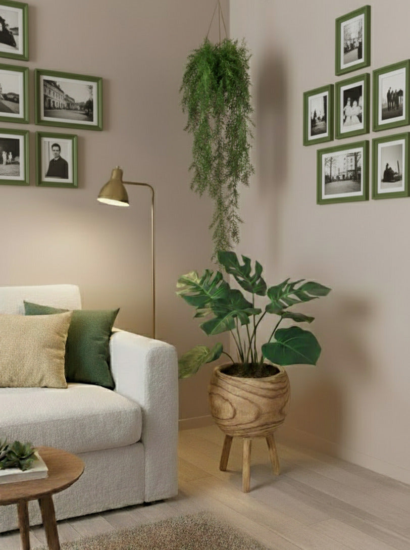 COSTELA DE ADÃO EM POTE, 75CM Cod: A6998