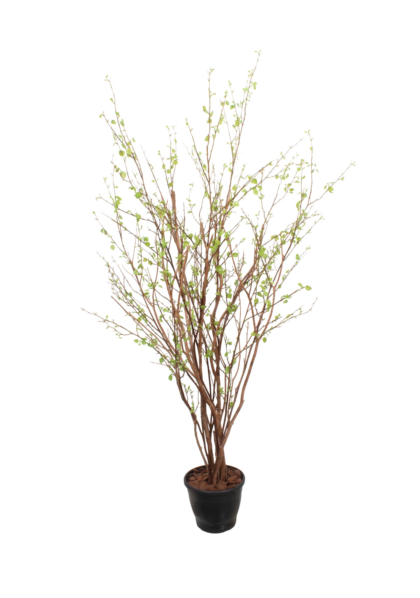 ÁRVORE SECA C/ BROTOS 160CM Cod: A7000