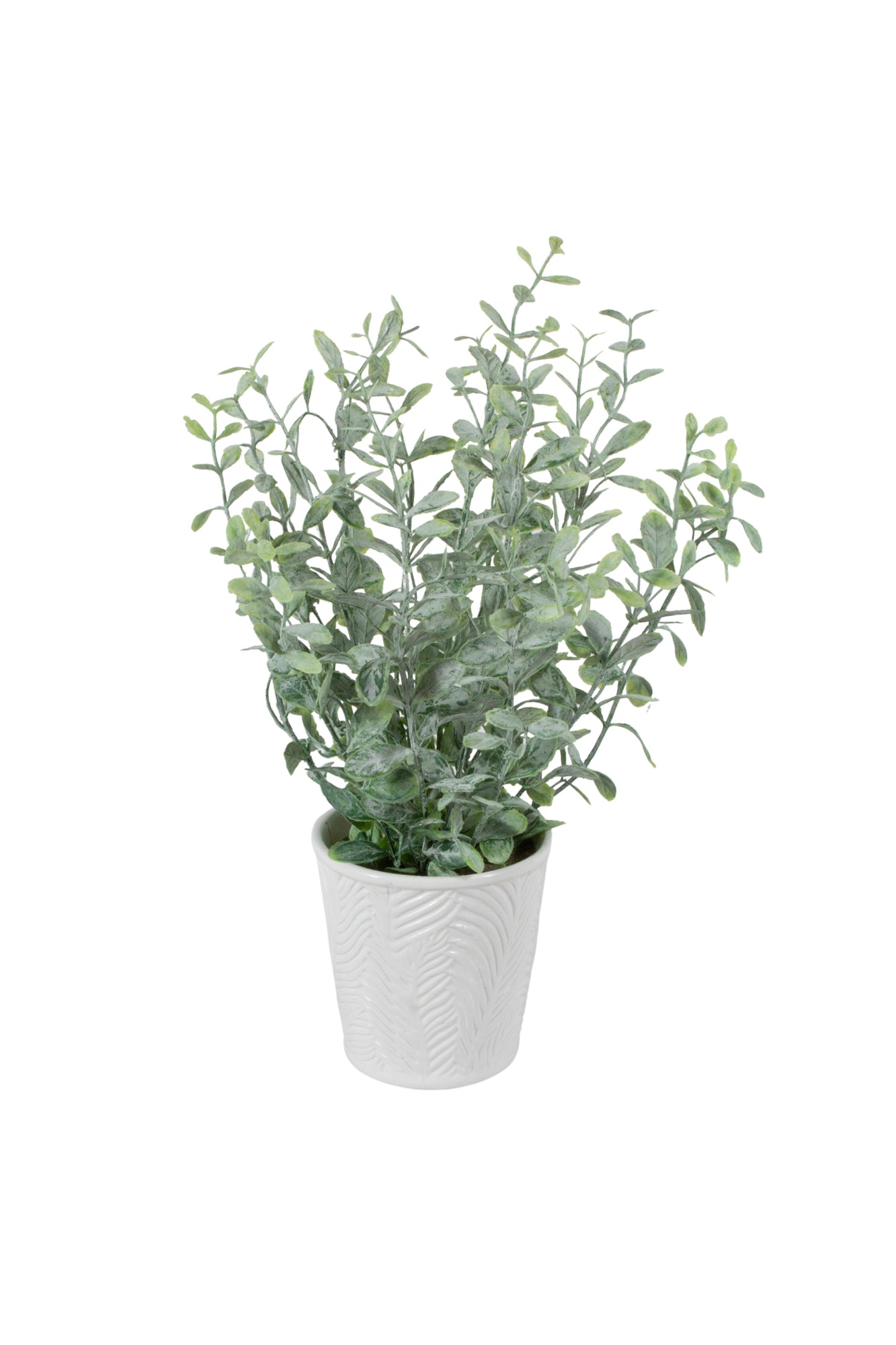 EUCALIPTO FROST EM CER, 33CM Cod: A7009