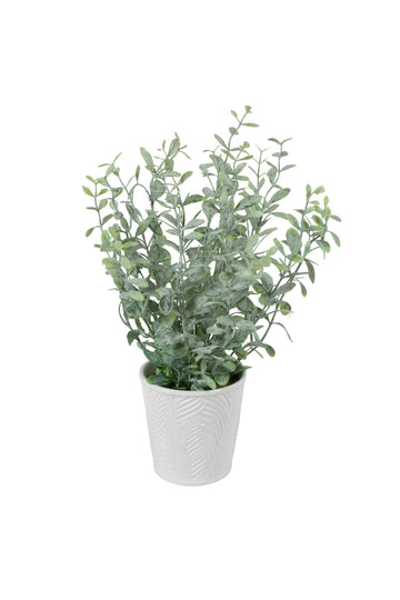 EUCALIPTO FROST EM CER, 33CM Cod: A7009