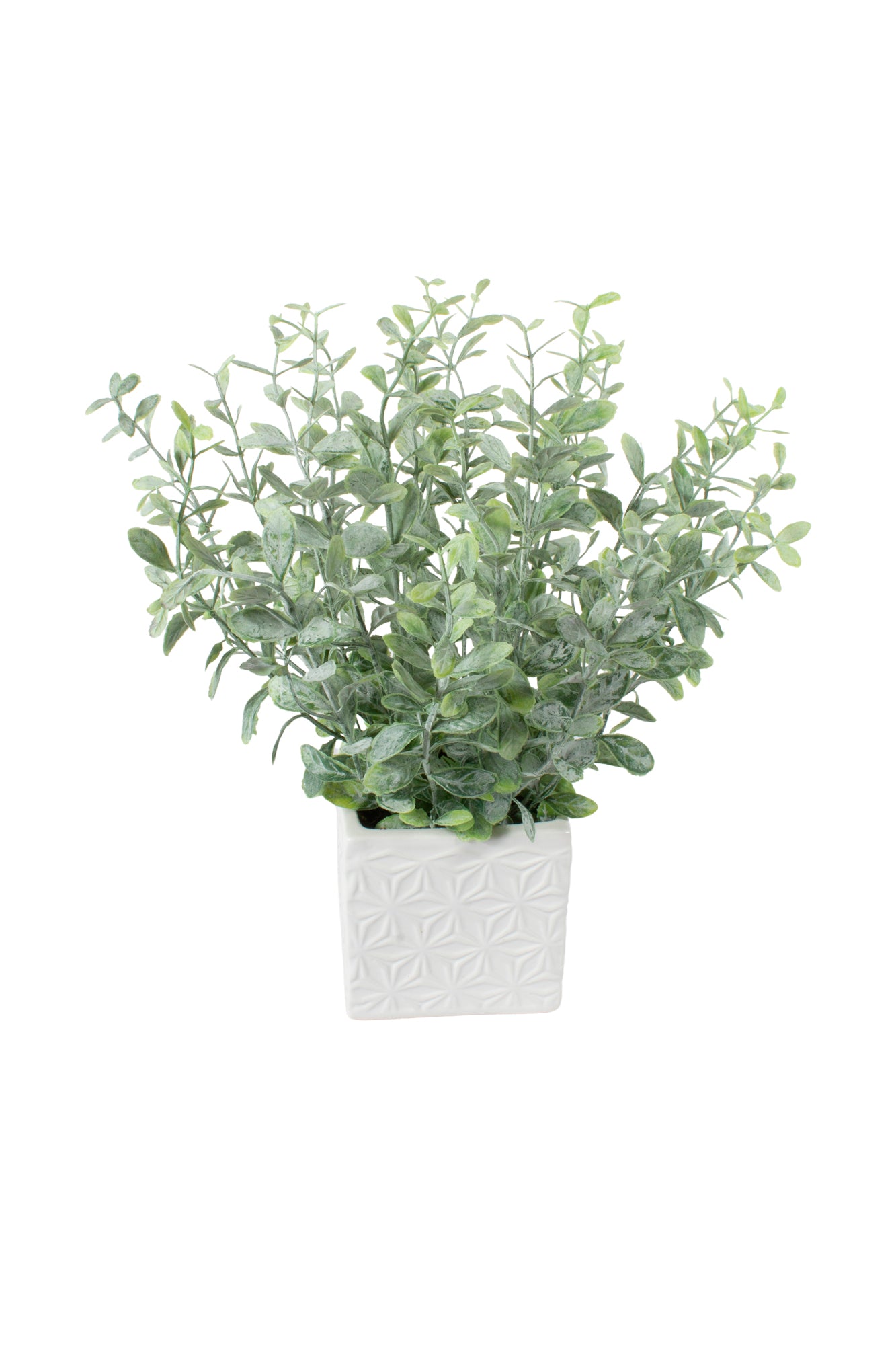 EUCALIPTO FROST EM CER, 33CM Cod: A7010