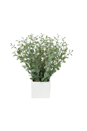 EUCALIPTOS EM CER BCA 35CM Cod: A7011