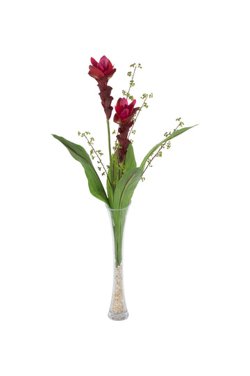 CURCUMAS VM  C/ BERRIES EM VIDRO78CM Cod: A7012