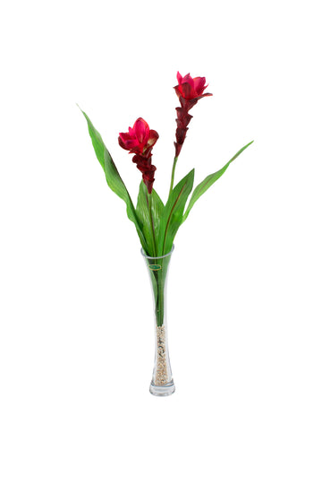 CURCUMAS VM EM VIDRO78CM Cod: A7013