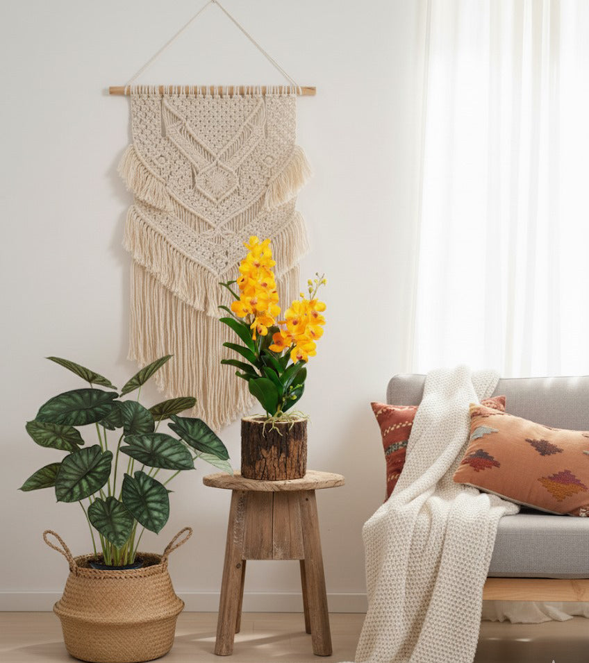 ALOCASIA CASCO-DE-TARTARUGA X12 EM POTE PVC 70 CM Cod: A6285