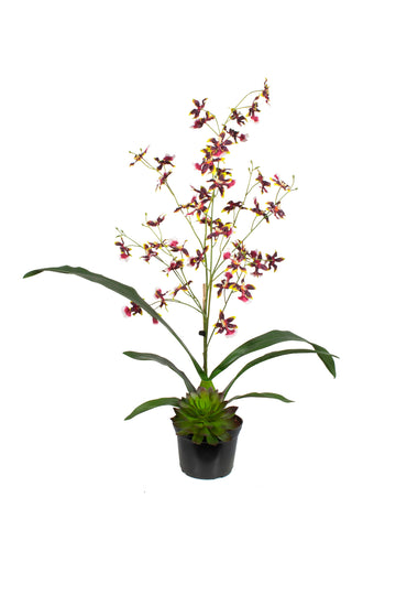 ORQ. DANCING VIAM EM POTE PVC, 55CM Cod: A7021VIAM