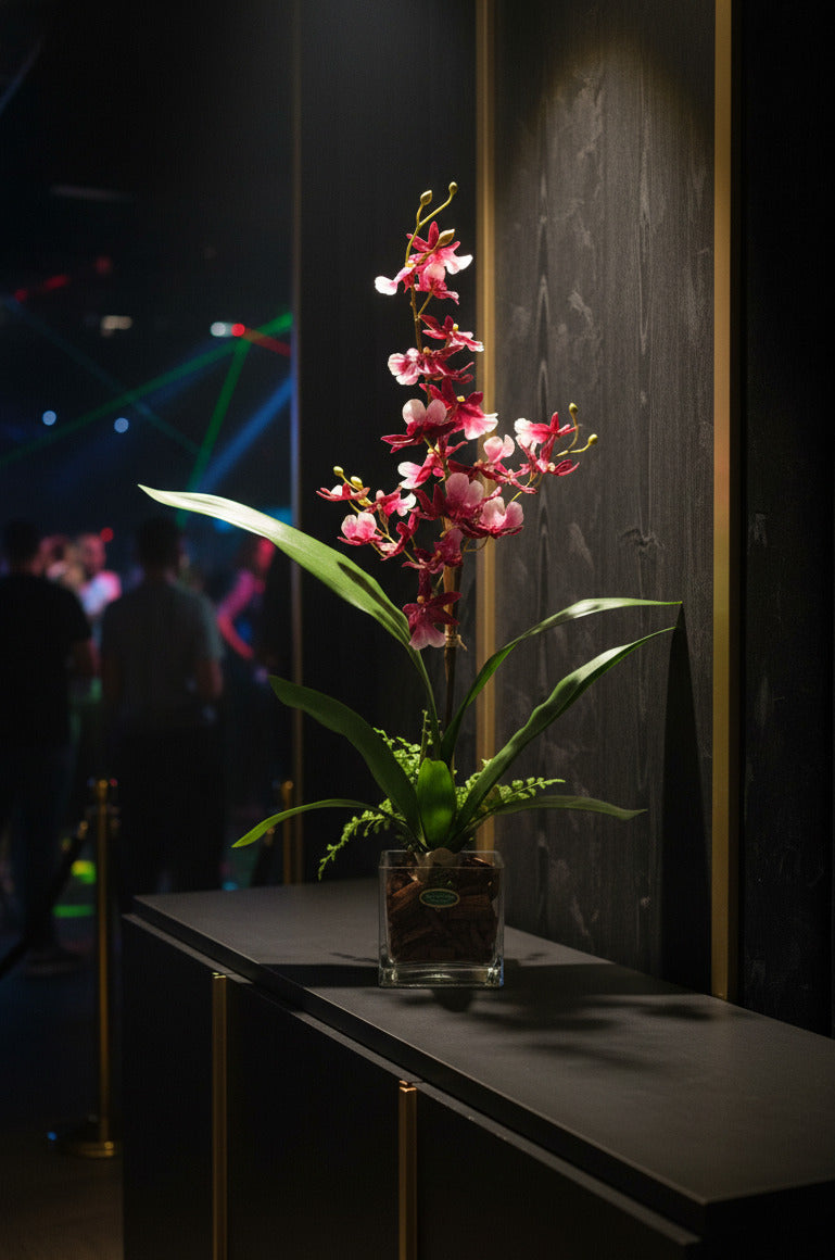 ORQ. ONCIDIUM VI EM VIDRO 64CM Cod: A7022-VI