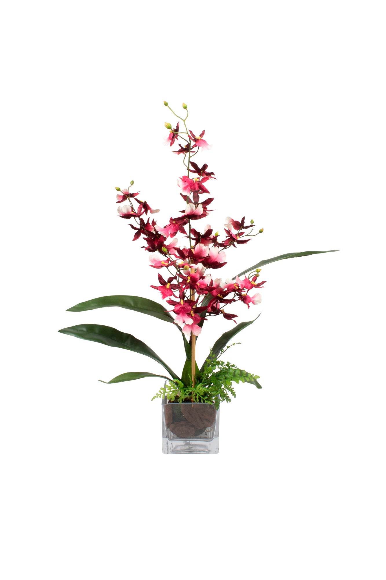 ORQ. ONCIDIUM VI EM VIDRO 64CM Cod: A7022-VI