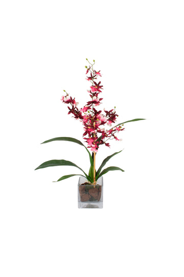 ORQ. ONCIDIUM VI EM VIDRO 64CM Cod: A7022-VI